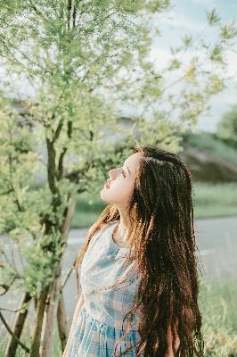 最新电视剧2025热播最火剧免费观看